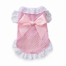 Load image into Gallery viewer, Sweet Pet Cat Clothes Lace Shirt